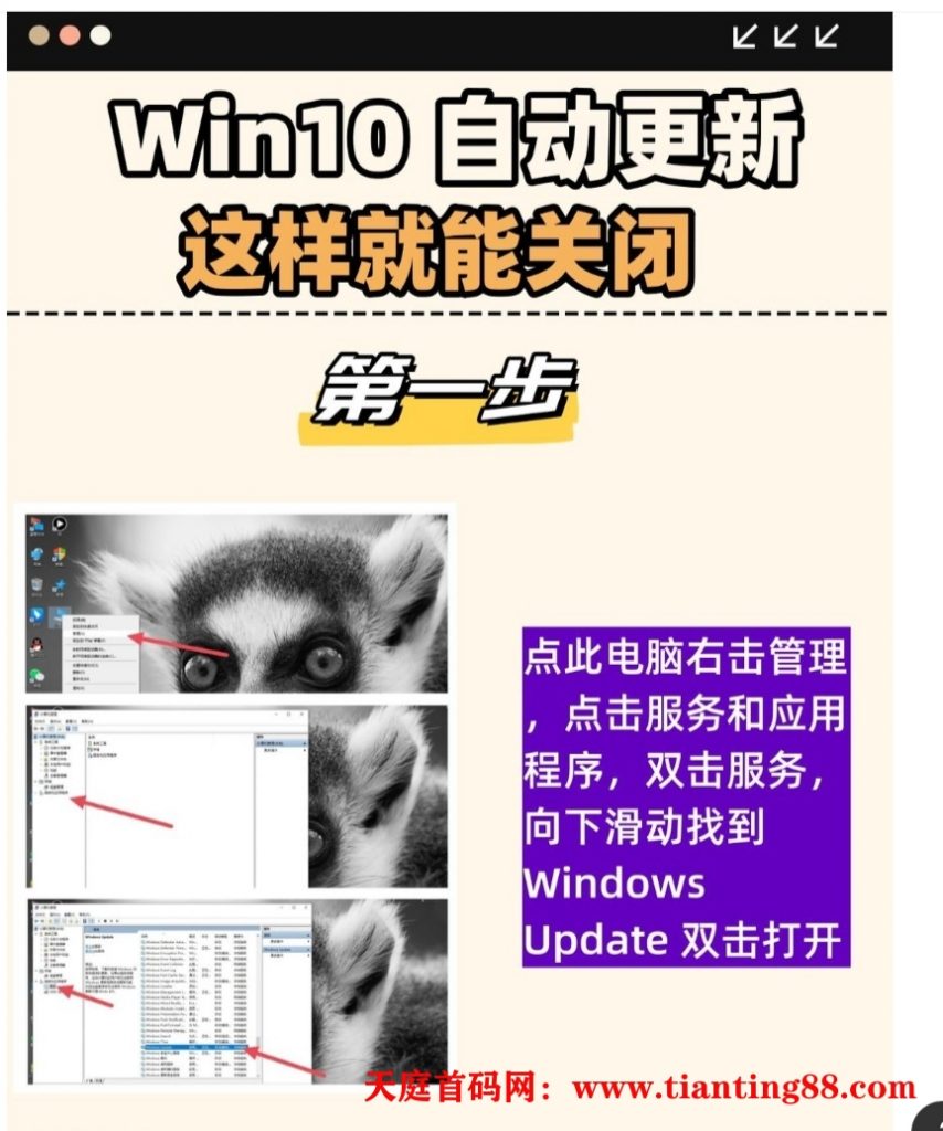 20250114025540895-QQ图片20250114025512