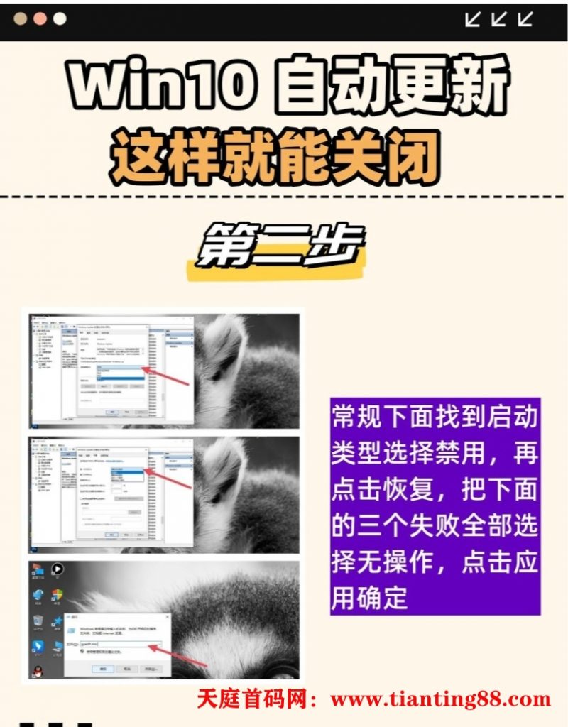 20250114025619972-QQ图片20250114025516