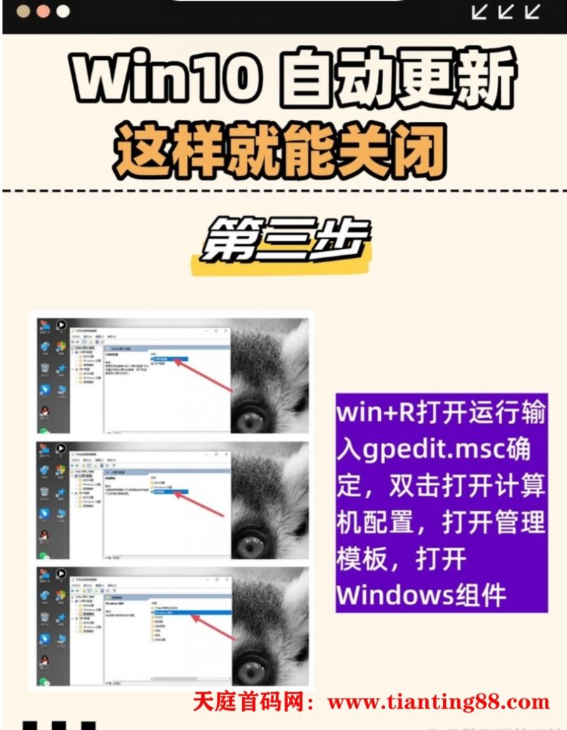 20250114025632277-QQ图片20250114025521