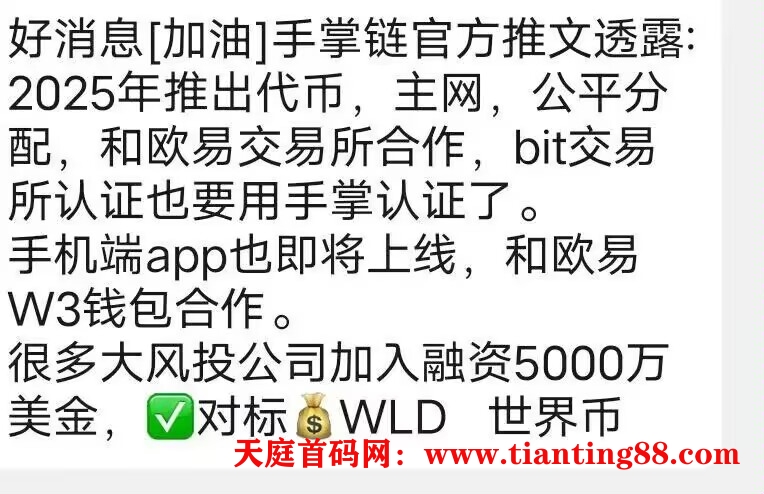 20250513151530644-代币主网融资