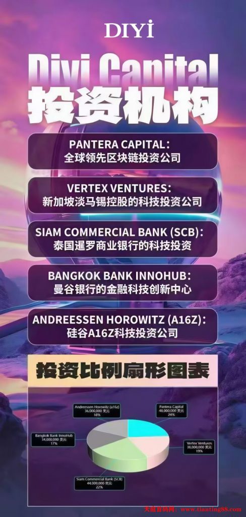 20250531095159289-资本分配