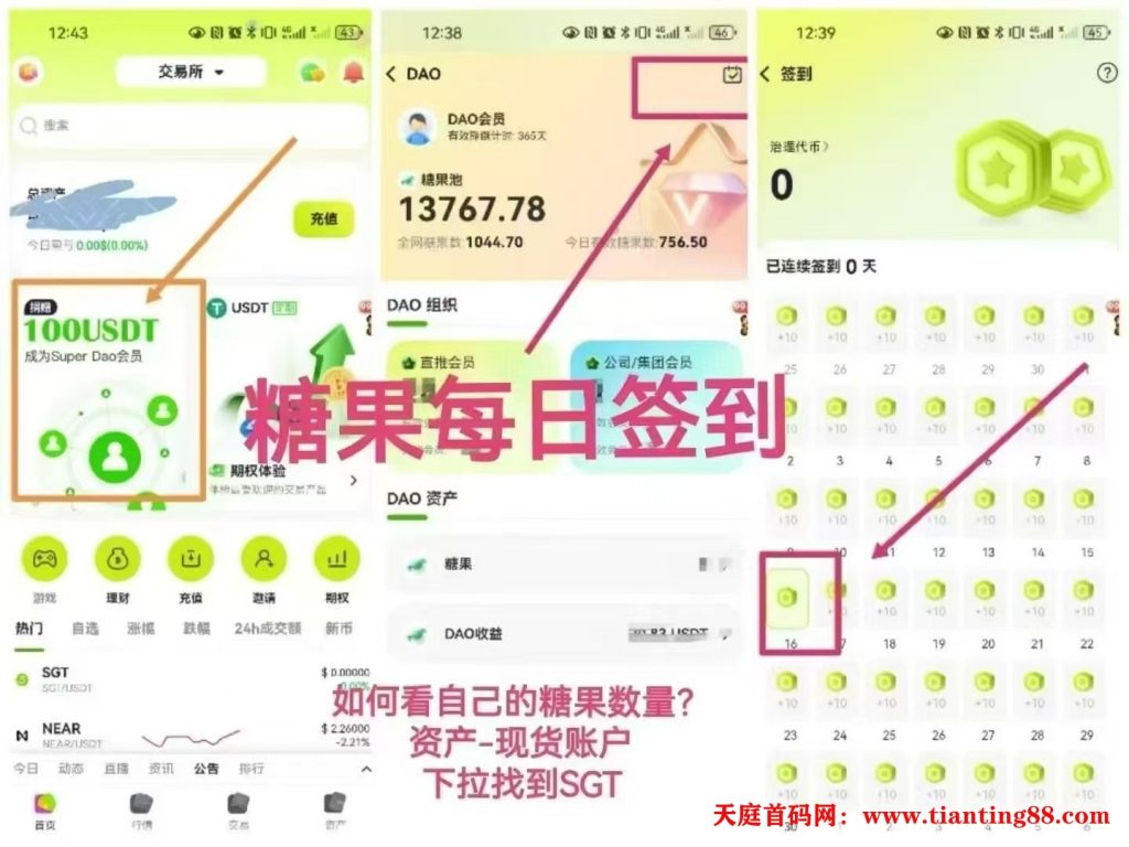糖果交易所开始撸平台币【挖SGT头矿】0撸的每天签到得一枚平台币-首码网-网上创业赚钱首码项目免费推广发布平台-天庭首码网