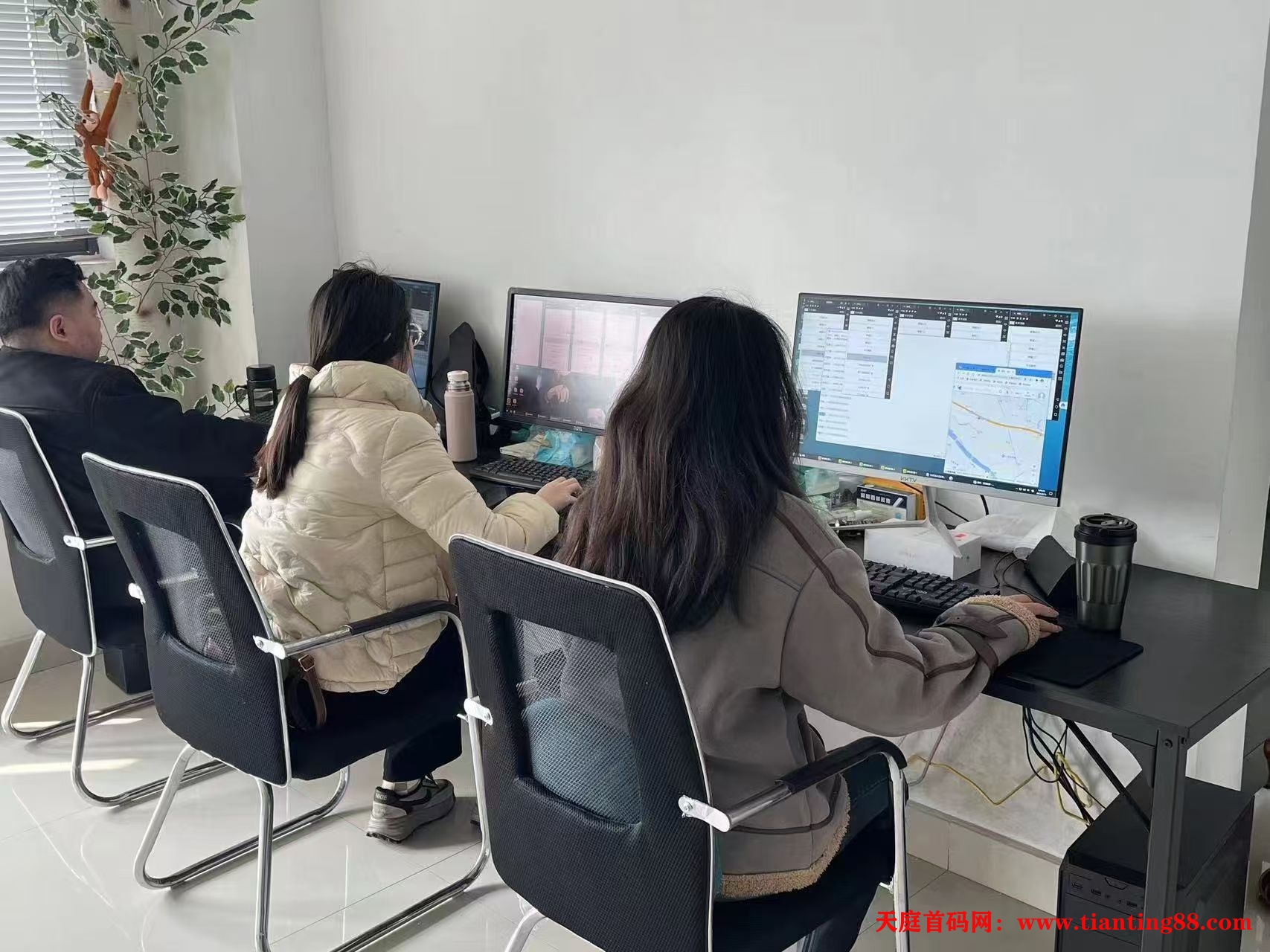 美团客服项目，月收益2W+，长久稳定，工作室可批量复制-首码网-网上创业赚钱首码项目免费推广发布平台-天庭首码网