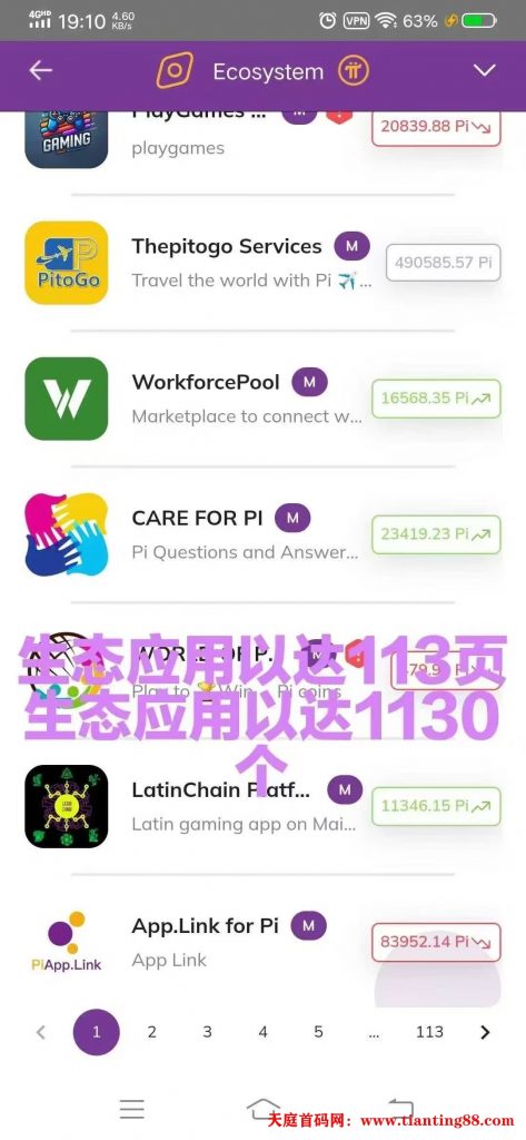 20250629231640479-pi生态质押